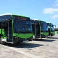 Autobus in Tenerifa - Santa Cruz