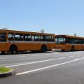 Autobusse auf Madeira