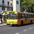 Autobusse auf Madeira