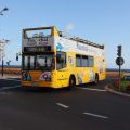 Sightseeing Autobus auf Madeira